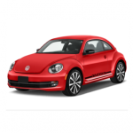 BEETLE-600-384x384