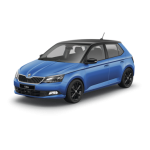 skoda-fabia-384x384