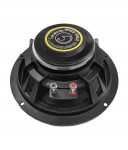 SPL8M.2.4NEO_3